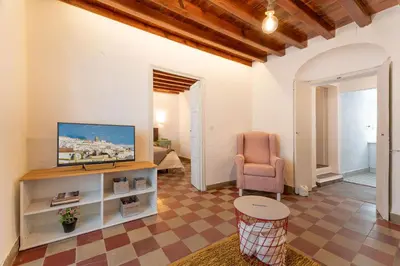 a living room with a television and a chair at La Casita Beneroso in Alcalá de los Gazules