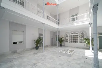 a large white room with potted plants and a staircase at El Anfitrión - Argüeso apartamento 3 in Sanlúcar de Barrameda