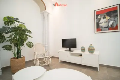 a living room with a tv and a plant at El Anfitrión - Argüeso apartamento 3 in Sanlúcar de Barrameda