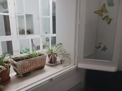 a window sill with potted plants on it at Habitación privada con baño. in Cádiz