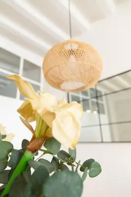 a yellow flower in a vase with a ceiling at Tanguillo by Gades Gestión in Cádiz