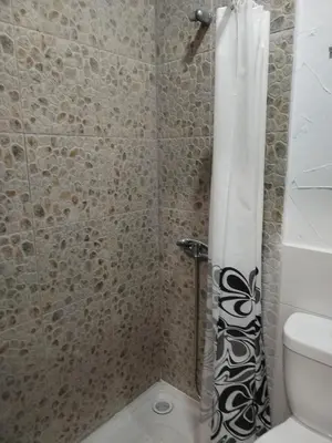 a bathroom with a shower with a toilet and a shower curtain at Apartamentos La Campana 5 in Jerez de la Frontera