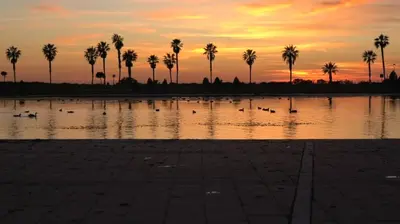 a sunset with palm trees and birds in a pool of water at AMPLIO PISO EN COSTA BALLENA A 100 M DE LA PLAYA in Costa Ballena