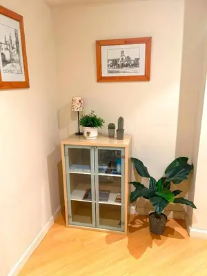 a cabinet in a room with a potted plant at Apartamento Puerta del Mar in Cádiz