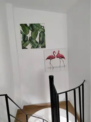 two pink flamingos on a wall next to a table at CASITA PINYPON in Jerez de la Frontera
