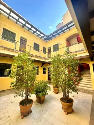 a courtyard with four potted trees inront of a building at GATU PREMIUM La Brisa 