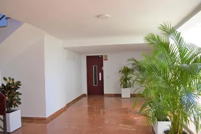 a hallway with potted plants and a brown door at Apartamento Puertomar in El Puerto de Santa María
