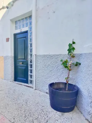 a plant in a blue pot in front of a door at Kala Almendrillo Apartment Boutique in Jerez de la Frontera