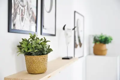 a plant sitting on a shelf in a room with pictures at El Apartamento de Nueva in Cádiz