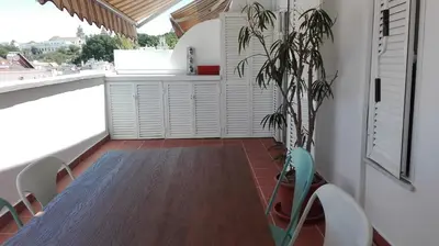 a dining room with a table and chairs and a plant at Atico con terraza en centro-playa in Sanlúcar de Barrameda