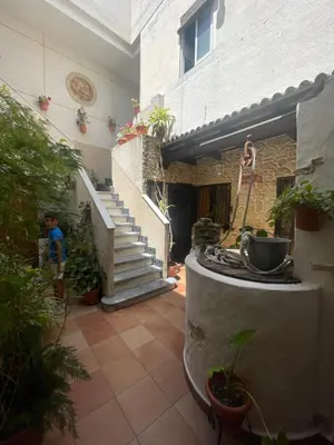 a table with a vase and plants on it at Acogedor apartamento in Rota