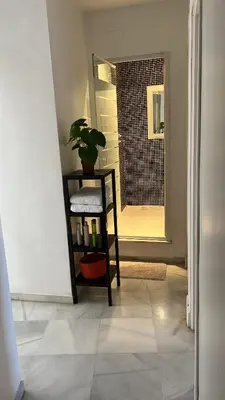 a bathroom with a plant on a shelf with a mirror at Piso de 3 dormitorios con garaje in Jerez de la Frontera