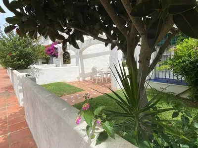 a garden with a tree and a concrete fence at Cozy Apart. Costa Sancti Petri by Chiclana Dreams in Novo Sancti Petri