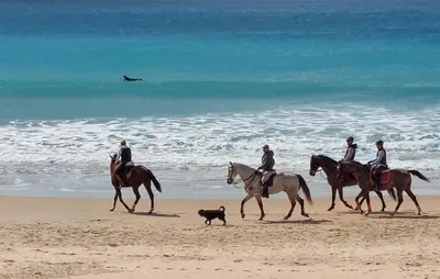 a group of people riding horses on the beach with a dog at Lovely Home In Chiclana De La Fronter in Chiclana de la Frontera