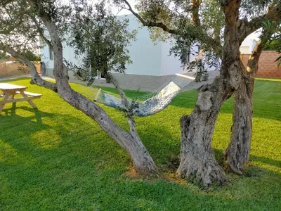 a hammock hanging between two trees in a park at Casa Caleta in Conil de la Frontera