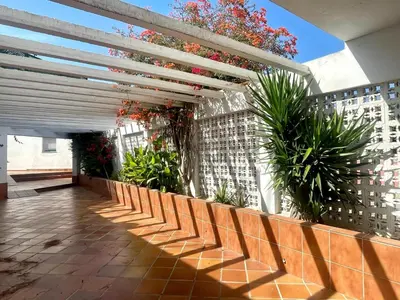 a patio with plants on a building with awning at Pescadores del Sur in Chiclana de la Frontera