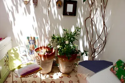 a group of potted plants on a table in a room at Casa Limon in Sanlúcar de Barrameda