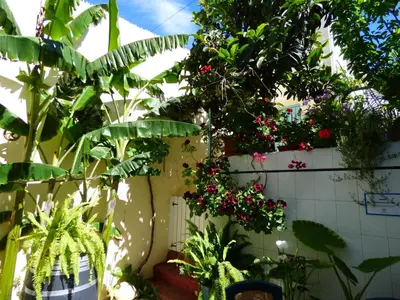 a garden with plants and flowers on a wall at Hostal Campo Nuevo in Sanlúcar de Barrameda