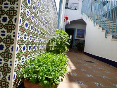 a hallway with potted plants on a wall at Hostal Campo Nuevo in Sanlúcar de Barrameda