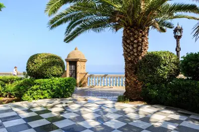 a palm tree and a building with a palm tree at Apartamento con patio en Cádiz centro in Cádiz