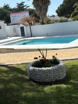a flower pot in the grass next to a swimming pool at Villa Sagrario in Chiclana de la Frontera
