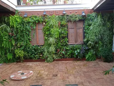 a building with a green wall with windows and plants at La gota de leche 3 in Sanlúcar de Barrameda