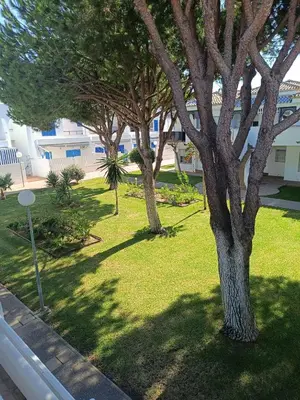 a group of trees in a yard with a building at Apartamento Red de Almadraba in Chiclana de la Frontera