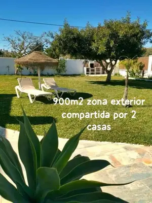 a yard with two chairs and a umbrella and a cactus at Olas de Conil in Conil de la Frontera