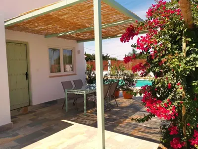 a patio with flowers and a table and a pool at Olas de Conil in Conil de la Frontera