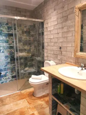 a bathroom with a toilet and a shower and a sink at Olas de Conil in Conil de la Frontera