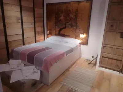 a bedroom with a large bed and a wooden wall at La gota de leche 2 in Sanlúcar de Barrameda