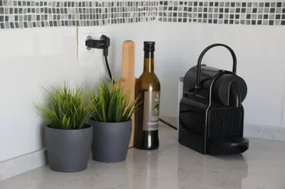 a counter with two potted plants and a bottle of wine at Casa de la Paz / Andalucia in Hozanejos