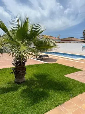 a palm tree in the grass next to a pool at Casa de la Paz / Andalucia in Hozanejos