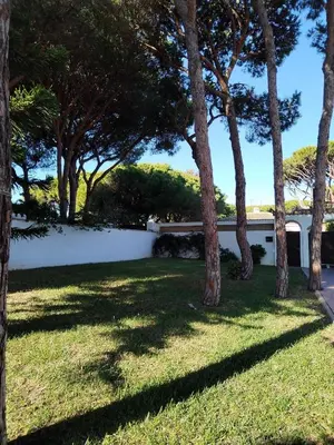 a yard with trees and a white wall at Villa Verde con Piscina a 800m de la Playa by Chiclana Dreams in Chiclana de la Frontera