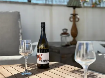 a bottle of wine sitting on a table with two glasses at La Terraza de Porvenir 10 - Jerez de la Frontera in Jerez de la Frontera