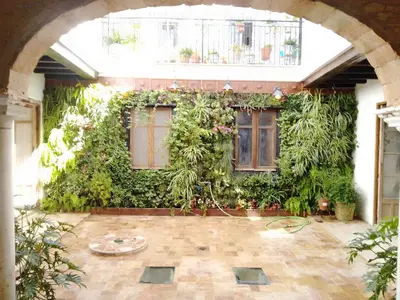 an outdoor room with a green wall with plants at La gota de leche 4 in Sanlúcar de Barrameda