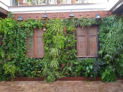 a building with a green wall with two windows at La gota de leche 4 in Sanlúcar de Barrameda