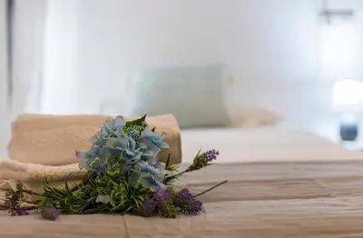 a bouquet of blue flowers sitting on a table at Cruz Vieja Centrico 3 Rooms in Jerez de la Frontera