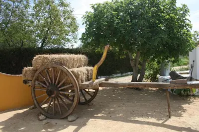 a cart filled with hay sitting next to a tree at Hacienda los Majadales in Conil de la Frontera