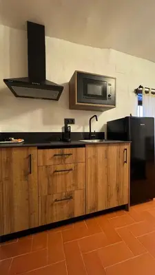 a kitchen with a sink and a microwave at Apartamentos Jerez Siglo XIX in Jerez de la Frontera