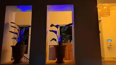two vases with plants in them sitting on a shelf at Apartamentos Sherry Center in Jerez de la Frontera