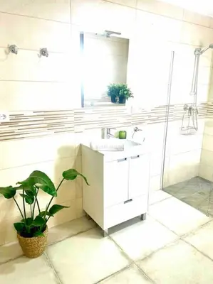 a bathroom with a sink and a shower and a plant at Brisa Home in Chiclana de la Frontera
