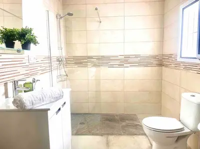 a bathroom with a toilet and a shower and a sink at Brisa Home in Chiclana de la Frontera