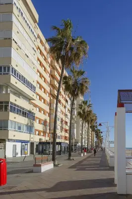 a street with palm trees in front of a building at DELFIN Sunny Home by Cadiz4Rentals in Cádiz