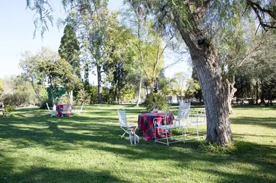 a dog sitting next to a table and chairs under a tree at CORTIJO RURAL LA MARISCALA in Jerez de la Frontera