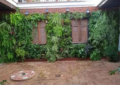 a building covered in green plants and wooden doors at La gota de leche 1 in Sanlúcar de Barrameda