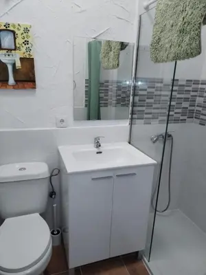 a bathroom with a white toilet and a sink at APARTAMENTO CAMPANA-6 in Jerez de la Frontera