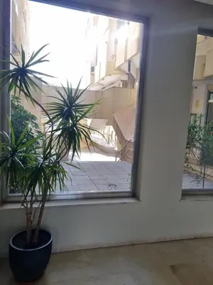 a potted plant sitting next to a window at Apartamento Playa Victoria I in Cádiz