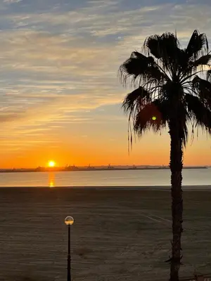 a palm tree on the beach at sunset at Apartamento con vistas al mar in Rota