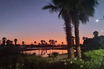 a pool of water with palm trees and a sunset at Apartamento en Costa Ballena a 50 metros playa. in Rota
